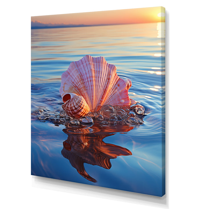 Seashell Oceanic Elegance At Sunset - Seashell Wall Art Prints