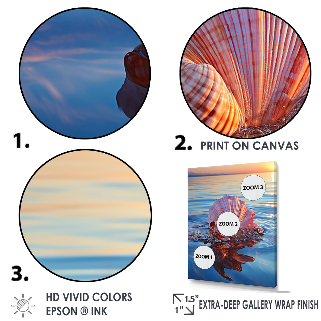 Seashell Oceanic Elegance At Sunset - Seashell Wall Art Prints
