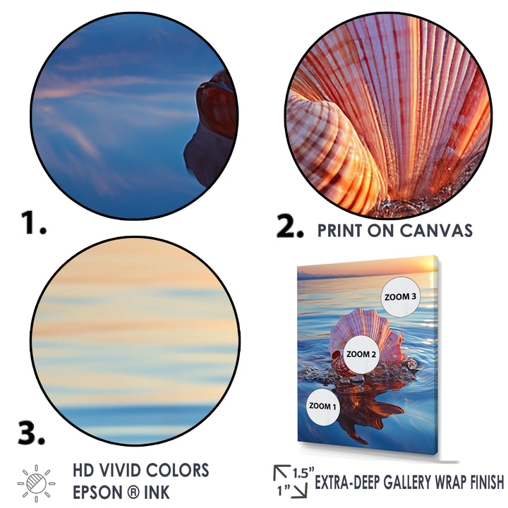 Seashell Oceanic Elegance At Sunset - Seashell Wall Art Prints