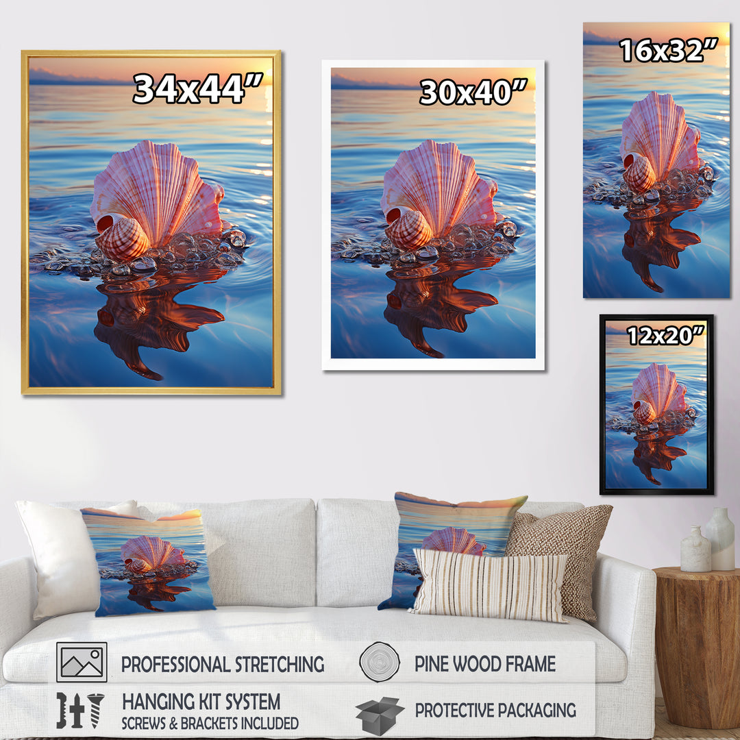 Seashell Oceanic Elegance At Sunset - Seashell Wall Art Prints