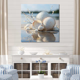 Minimal White Seashell Photography - Animals Canvas Wall Art