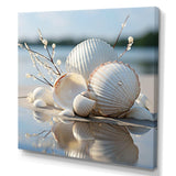 Minimal White Seashell Photography - Animals Canvas Wall Art