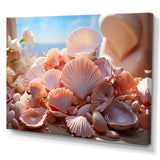 Romanticism Seashells - Seashell Canvas Wall Art
