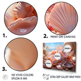 Romanticism Seashells - Seashell Canvas Wall Art