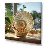 Seashell Treasures Vase - Seashell Wall Art Prints