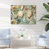 Vintage Seashell Treasures - Seashell Wall Art Prints
