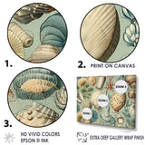 Vintage Seashell Treasures - Seashell Wall Art Prints