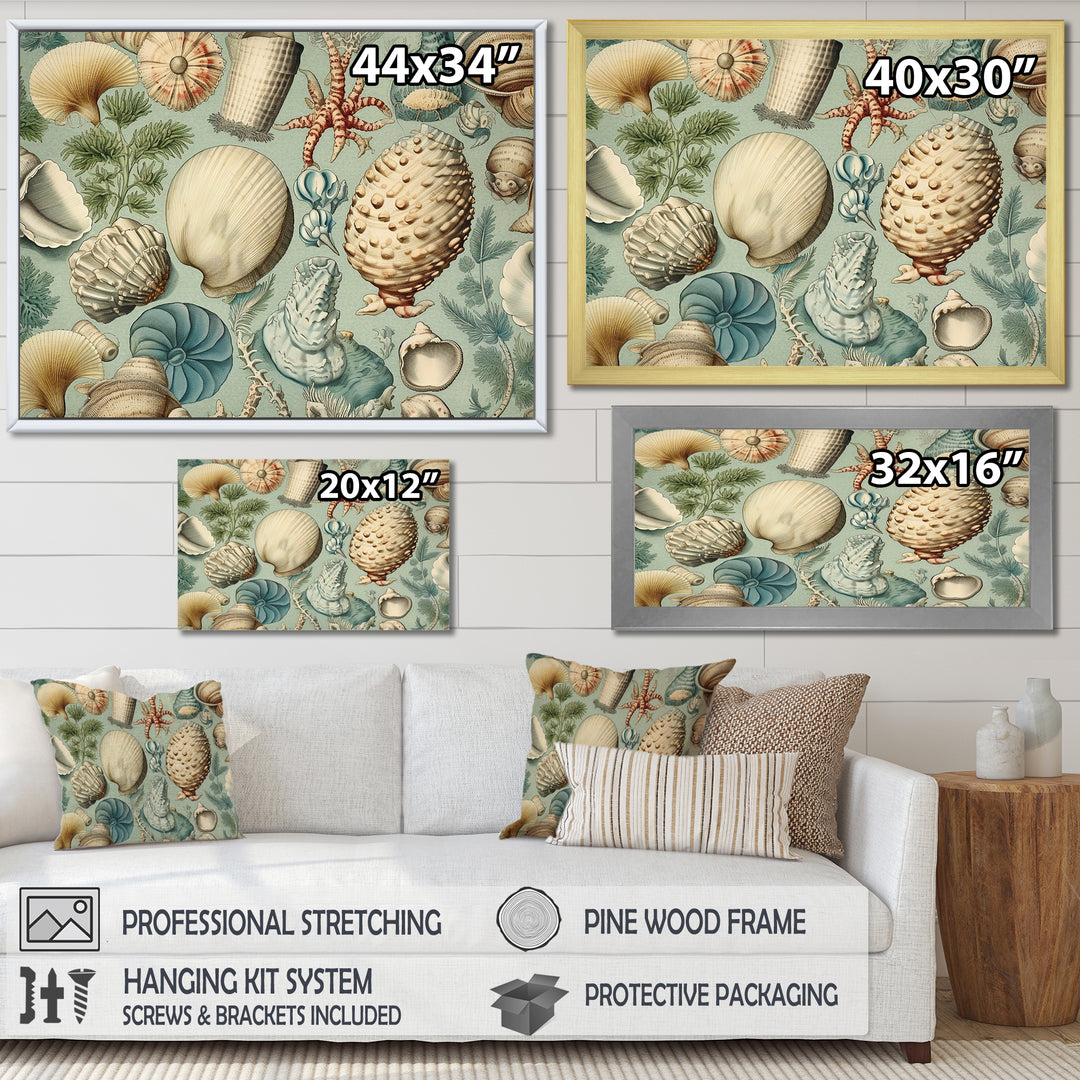Vintage Seashell Treasures - Seashell Wall Art Prints