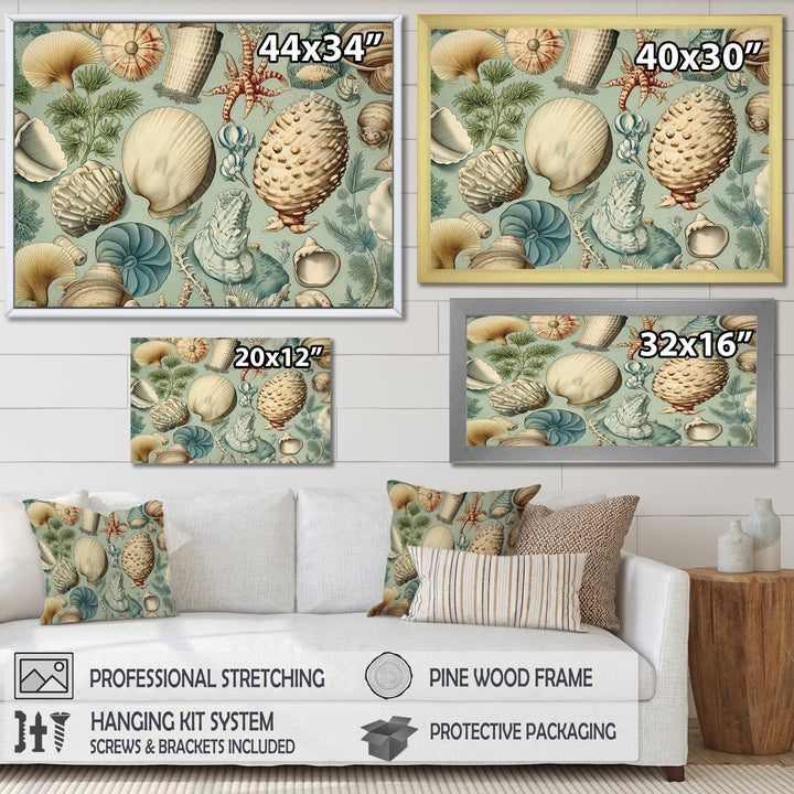 Vintage Seashell Treasures - Seashell Wall Art Prints