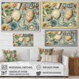 Vintage Seashell Treasures - Seashell Wall Art Prints