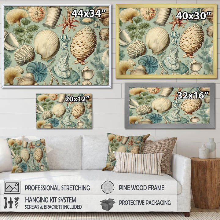 Vintage Seashell Treasures - Seashell Wall Art Prints