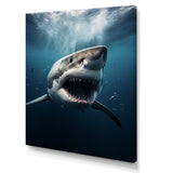 Blue Shark Apex Predator Photo - Blue Shark Wall Art