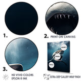 Blue Shark Apex Predator Photo - Blue Shark Wall Art