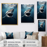 Blue Shark Apex Predator Photo - Blue Shark Wall Art