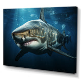 Oceans Blue Ghost Shark Photography - Shark Wall Decor
