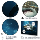Oceans Blue Ghost Shark Photography - Shark Wall Decor
