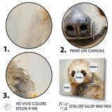 Thoughtful Sloth - Sloth Wall Art Prints