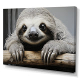 Mellow Sloth - Beige Sloth Wall Art