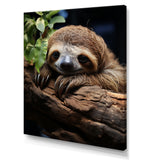 Rustic Repose Sloth - Sloth Canvas Wall Art