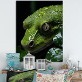 Coiled Emerald Snake - Snake Wall Decor