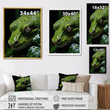 Coiled Emerald Snake - Snake Wall Decor