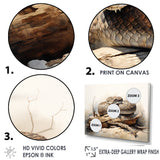 Rattlers Rattlesnake - Snake Wall Art Prints