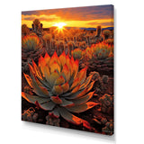 Green And Red Succulent Cactus Field Sunset I - Floral Canvas Wall Art