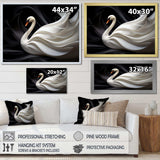 Black And White Elegy Of A Swan - Animals Canvas Wall Art