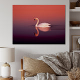 Coral Swan At Dusk - Swans Canvas Wall Art