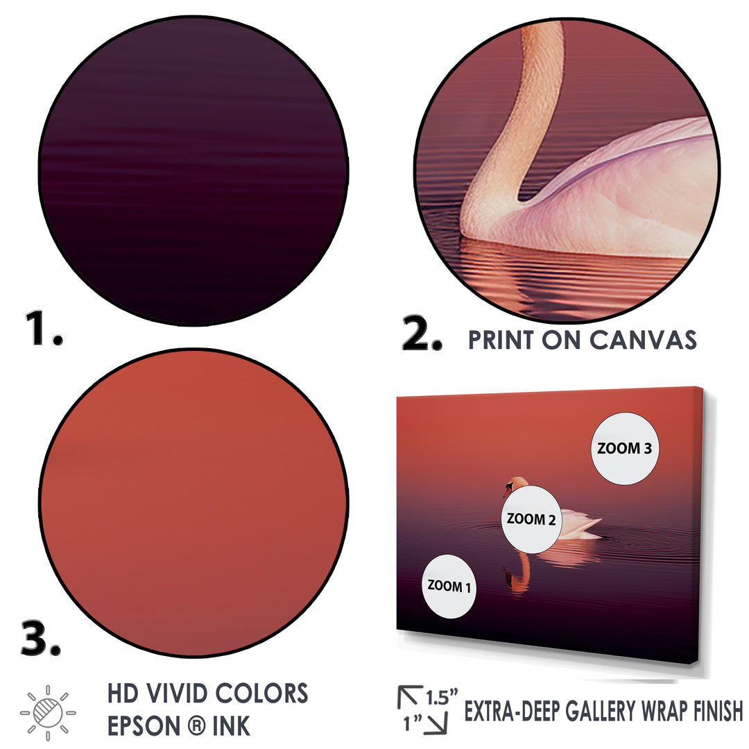 Coral Swan At Dusk - Swans Canvas Wall Art
