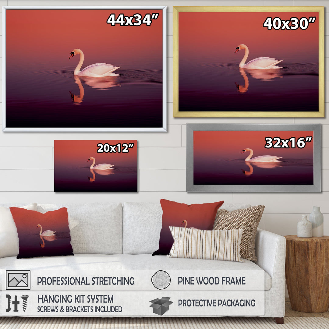 Coral Swan At Dusk - Swans Canvas Wall Art