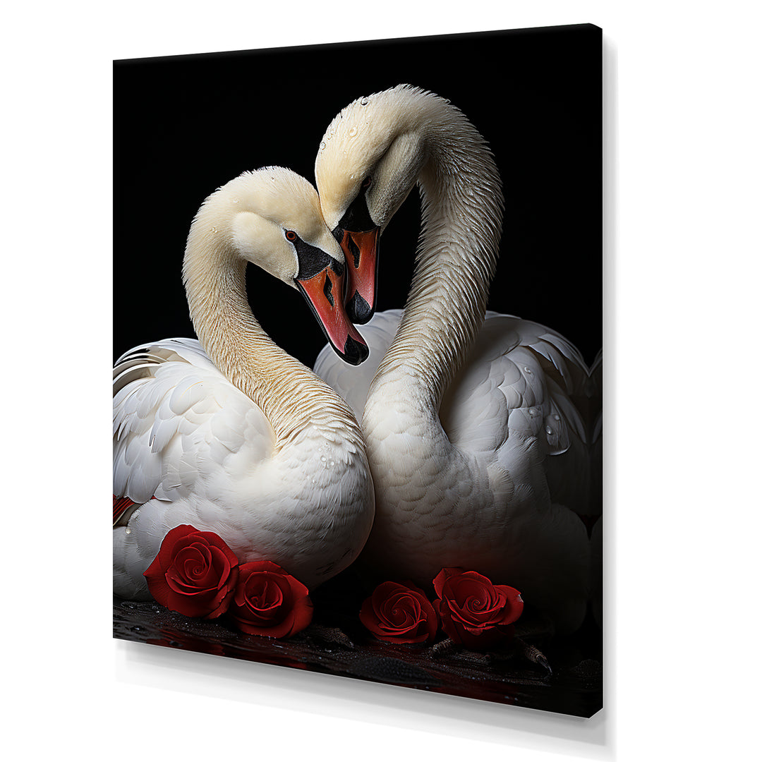 Swans Romantic Portrait - Swans Framed Canvas Art