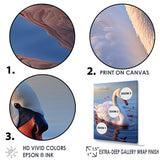 Swans Serenity Photo - Swans Wall Decor