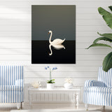 Swans Solitude In Black And White - Swans Wall Art Prints