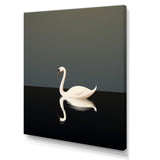 Swans Solitude In Black And White - Swans Wall Art Prints