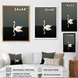 Swans Solitude In Black And White - Swans Wall Art Prints