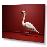 Swans Solitude In Red And White - Red Swans Wall Art