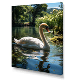 Swans Refuge In Tropical Lake - Swans Canvas Wall Art