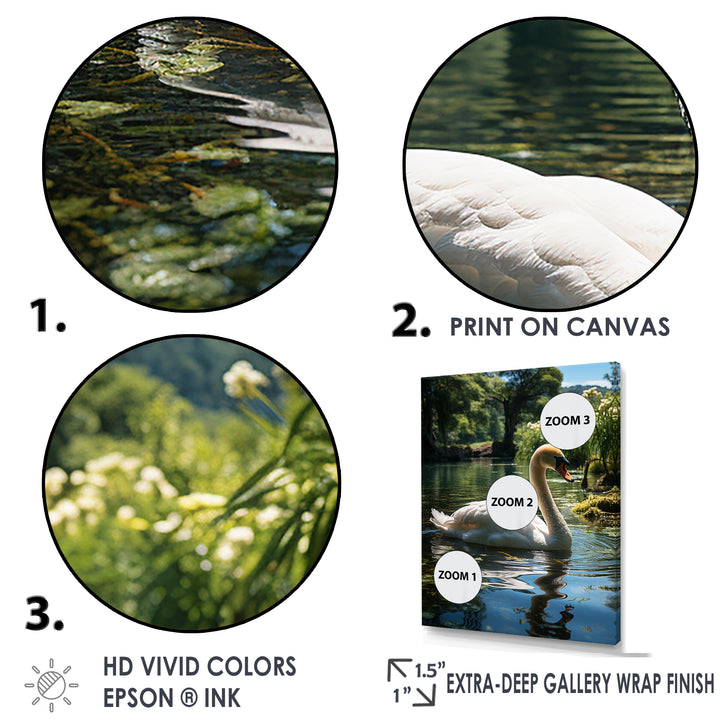 Swans Refuge In Tropical Lake - Swans Canvas Wall Art