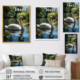 Swans Refuge In Tropical Lake - Swans Canvas Wall Art