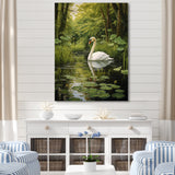 Swans Refuge By The Lake - Swans Wall Decor