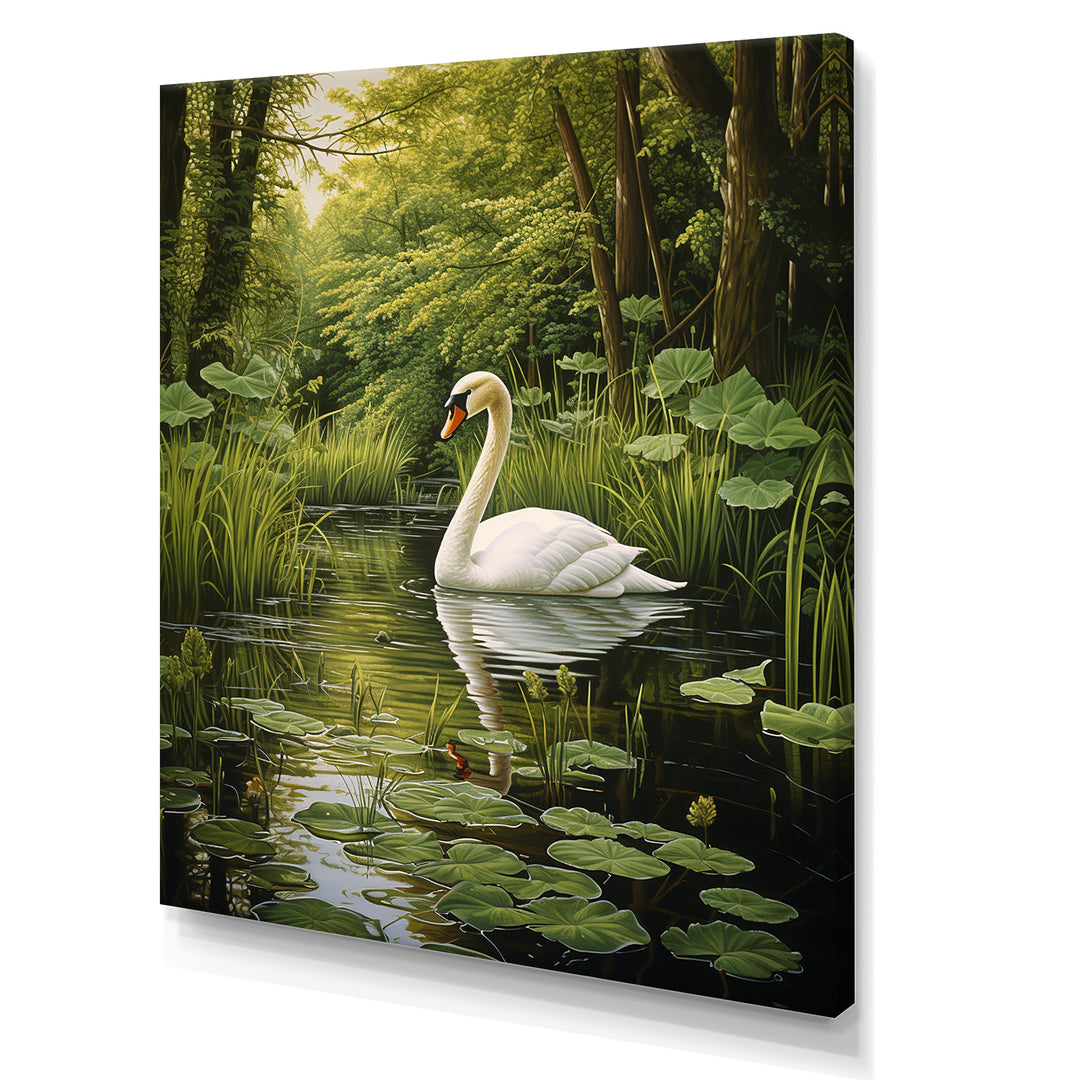 Swans Refuge By The Lake - Swans Wall Decor