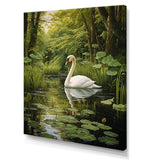 Swans Refuge By The Lake - Swans Wall Decor