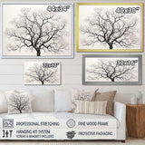 Minimalism Black And White Trees Oak - Floral Canvas Wall Art