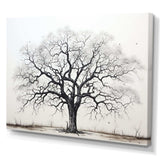 Minimalism Black And White Trees Oak II - Floral Canvas Wall Art