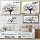 Minimalism Black And White Trees Oak II - Floral Canvas Wall Art