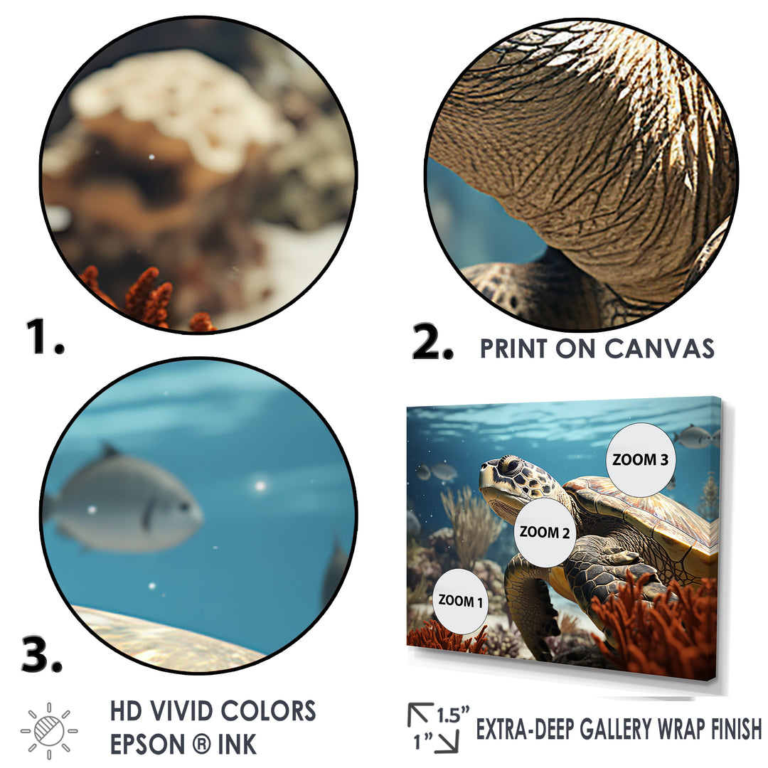 Classic Coastal Life - Turtle Wall Art Prints