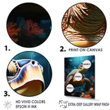 Whimsical Ocean Explorer - Turtle Wall Decor