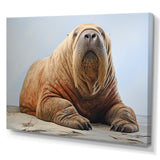 lazy Walrus habitat - Walrus Wall Decor