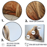 lazy Walrus habitat - Walrus Wall Decor